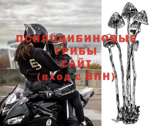 амф Богородицк